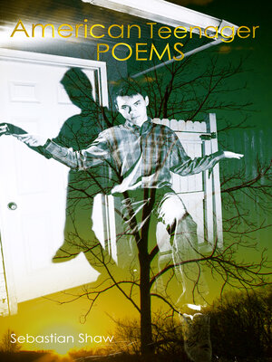cover image of American Teenager Poems